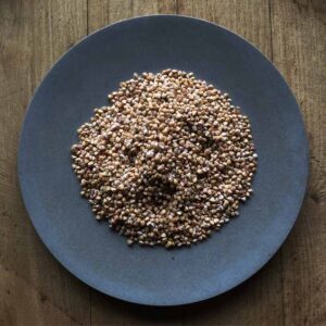 dried_buckwheat_@koji_plate