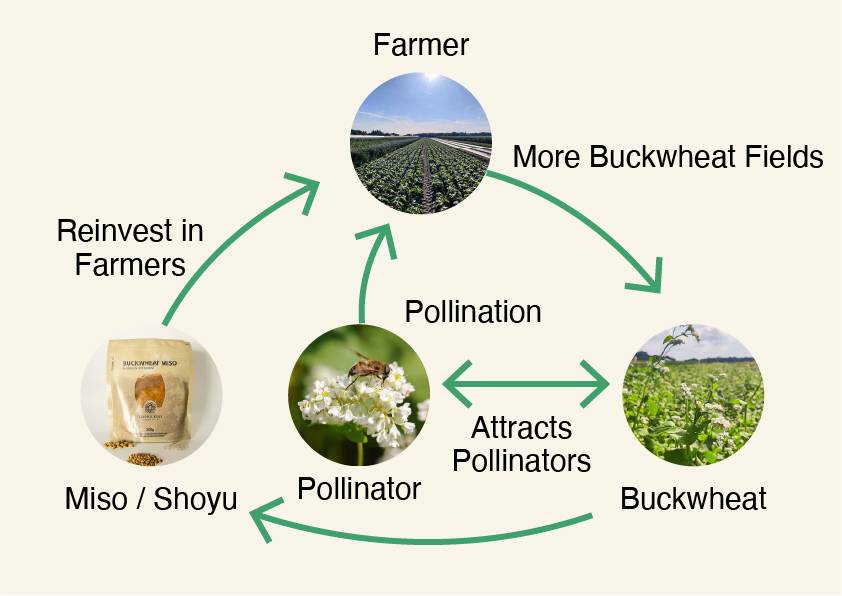 Circular_Ecosystem