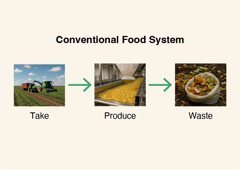 Conventional_Food_System