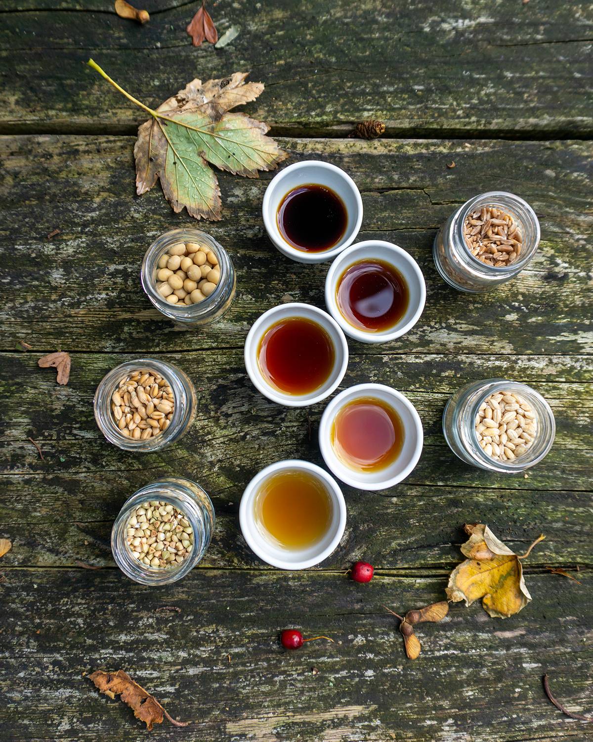 Shoyu variety